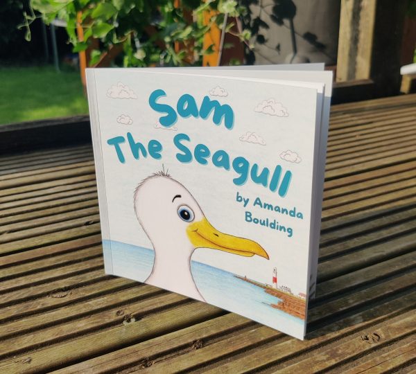 Sam The Seagull